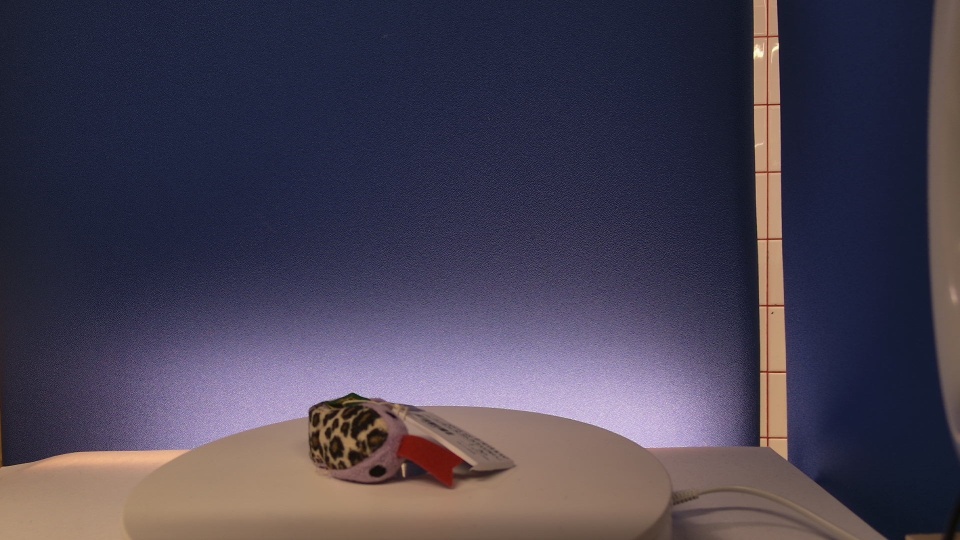 Käärme napsurannekoru