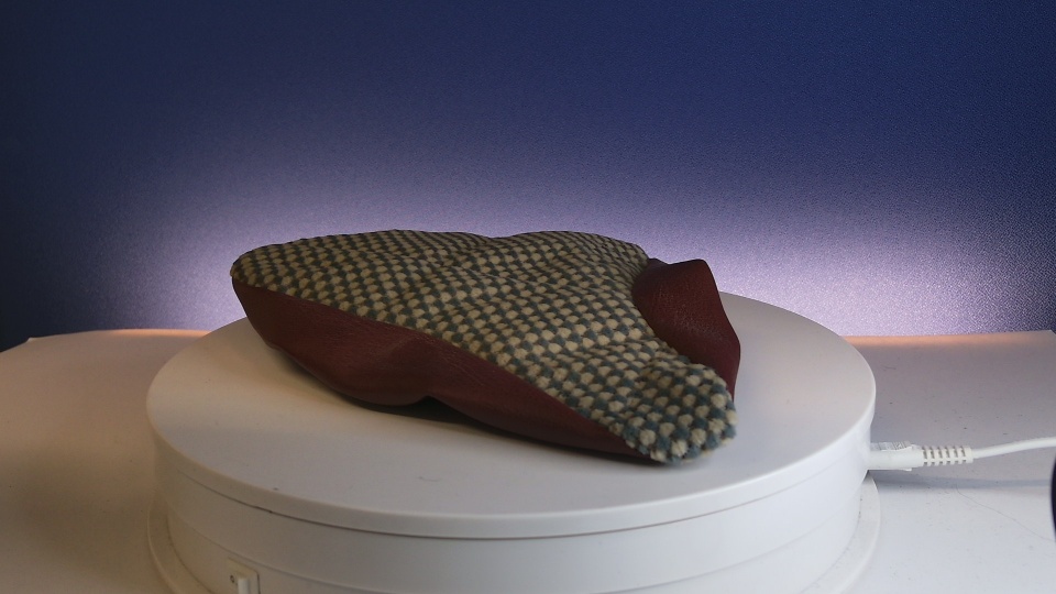 Pyörän päällinen