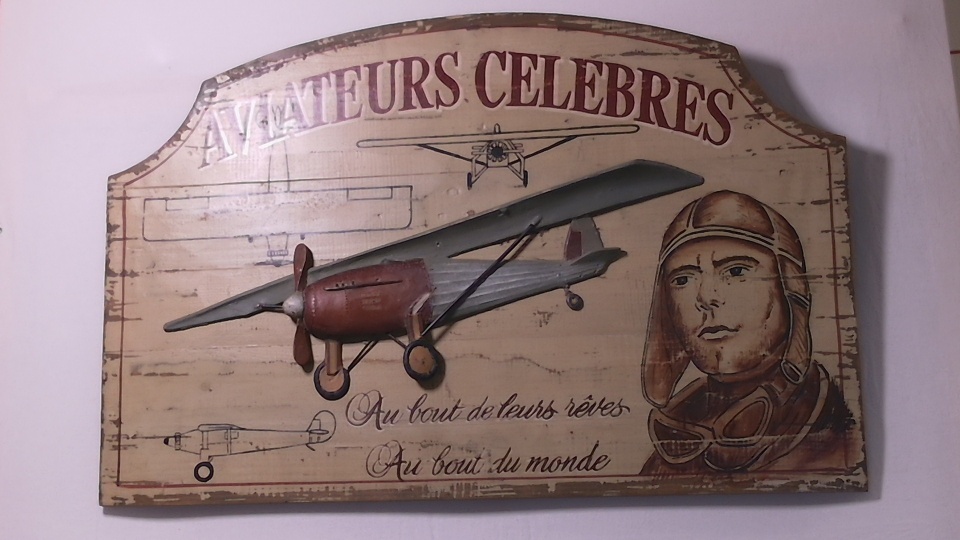 Aviateurs Célèbres taulu