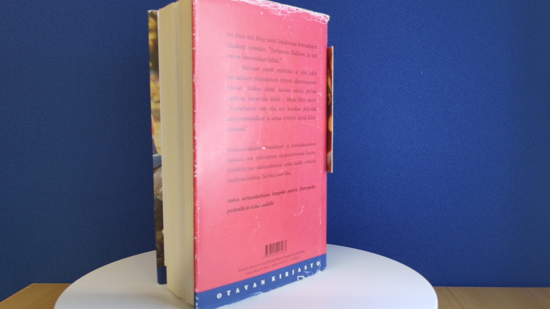Anne Tyler: Amerikan lapset - Image 19
