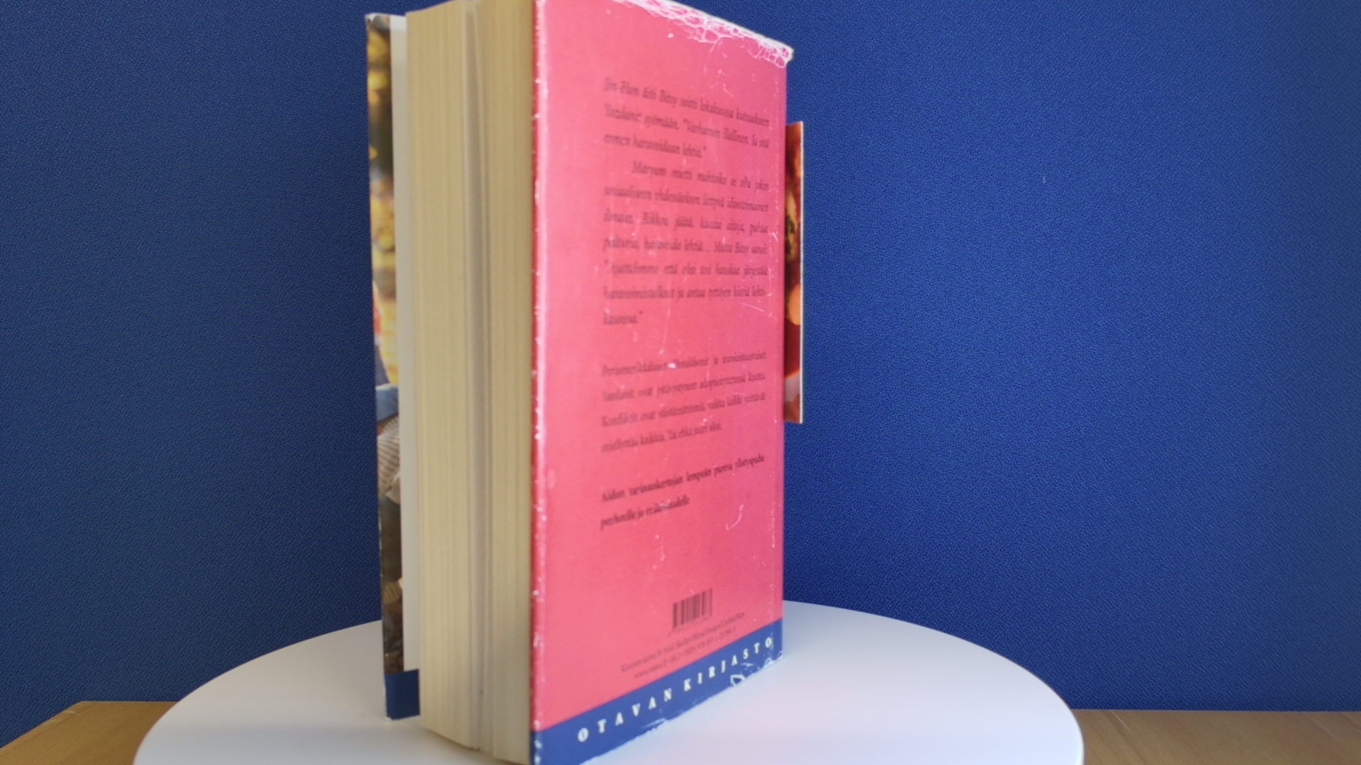 Anne Tyler: Amerikan lapset - Image 20