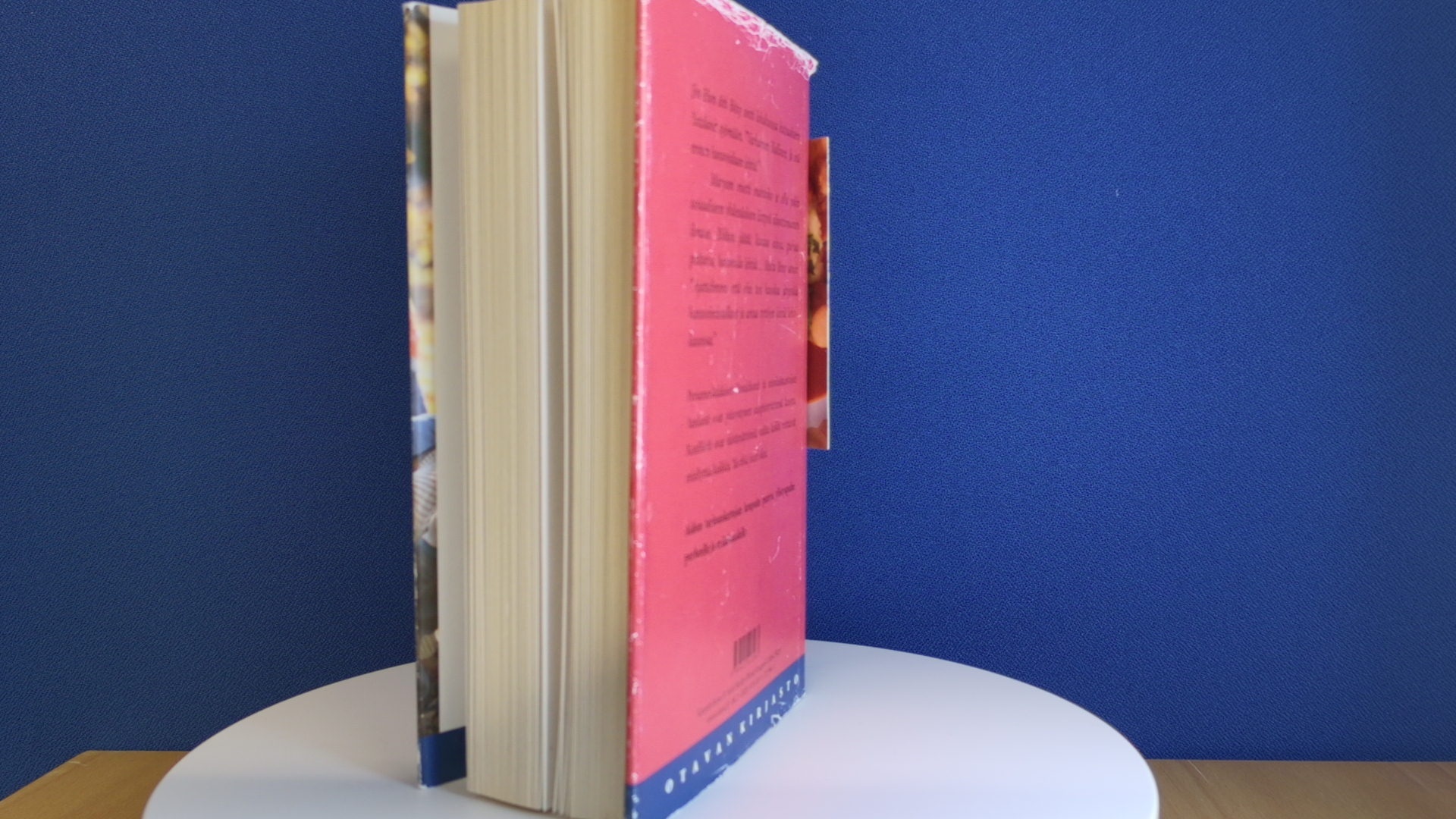 Anne Tyler: Amerikan lapset - Image 21