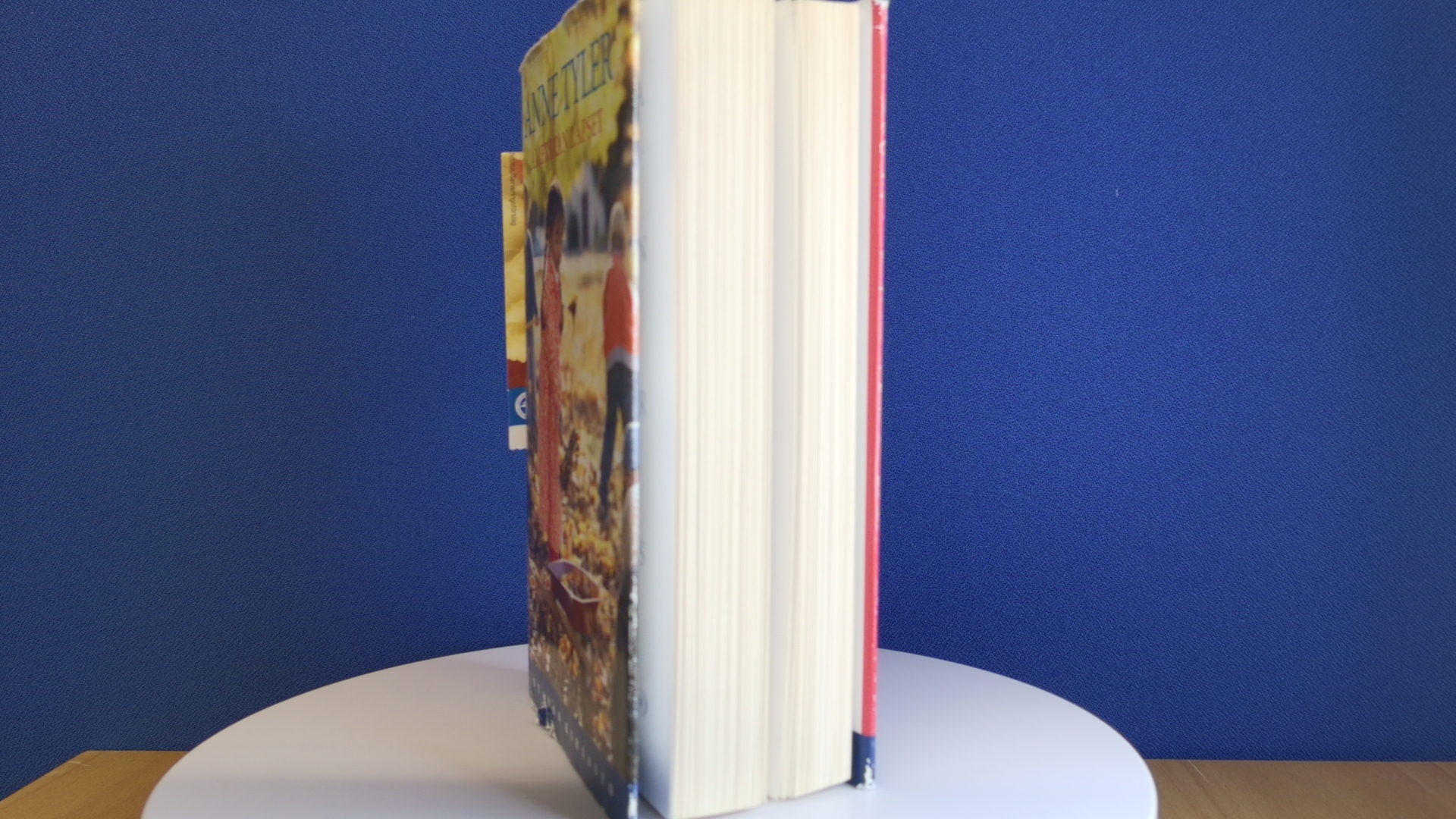 Anne Tyler: Amerikan lapset - Image 26