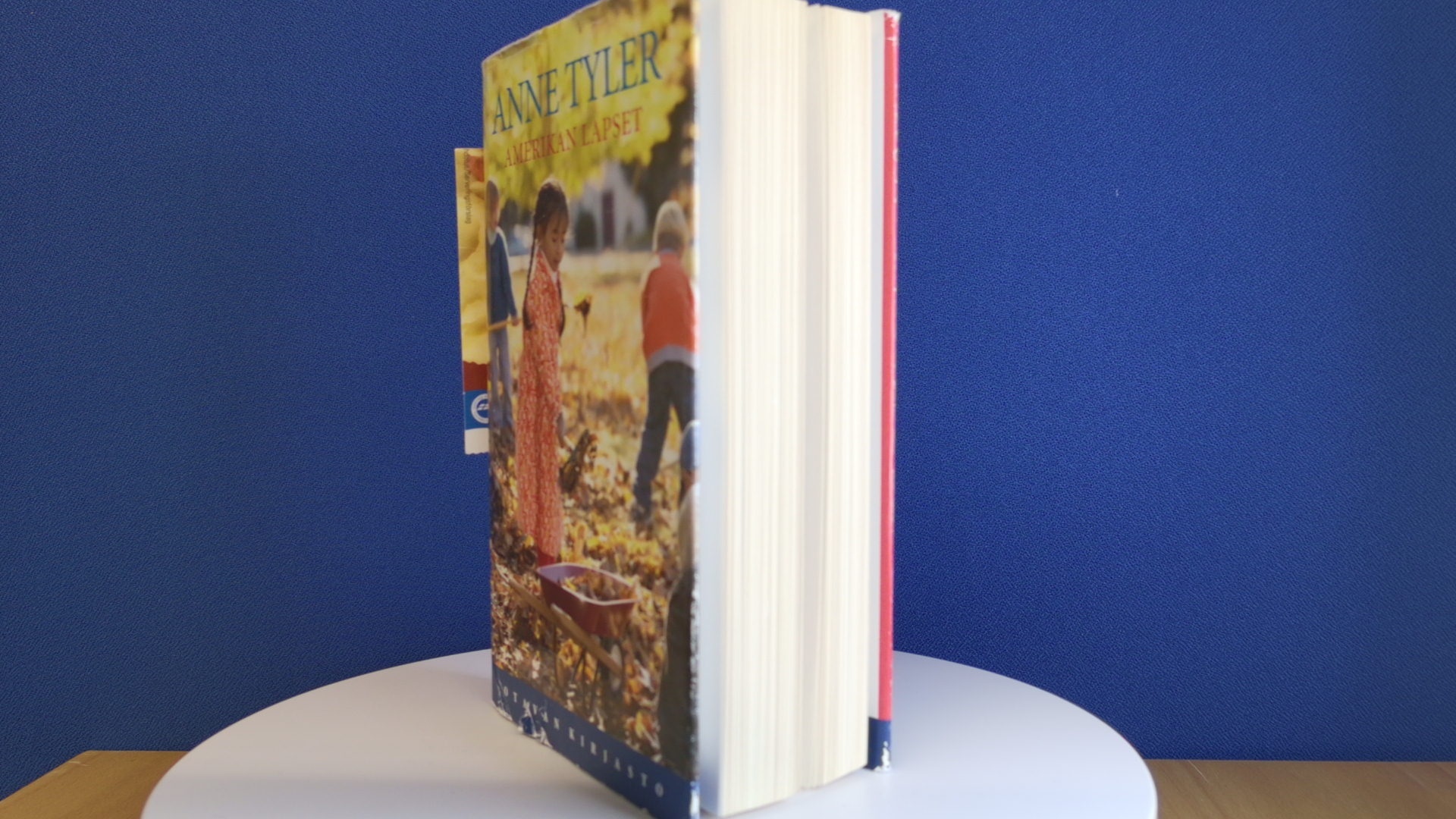 Anne Tyler: Amerikan lapset - Image 27