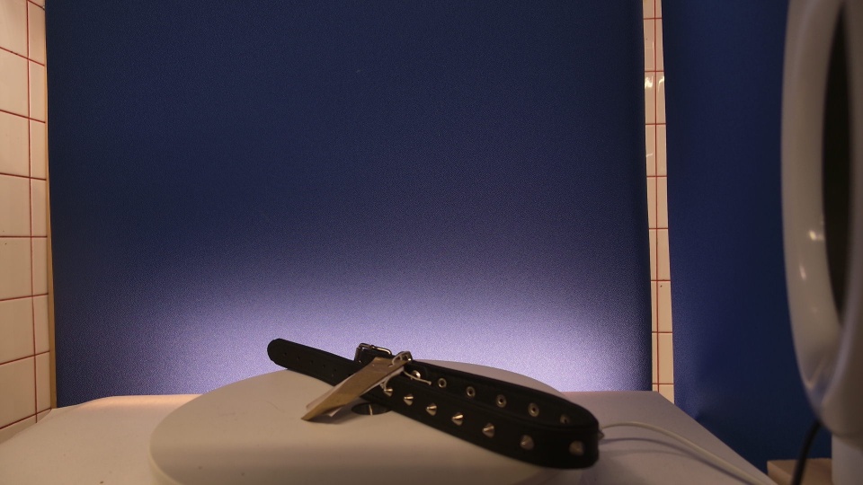 Koiran niitti kaulapanta 58