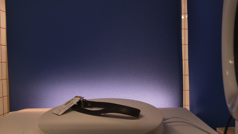 Koiran kaulapanta 42cm